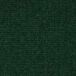 color swatch for dark green lace leotard